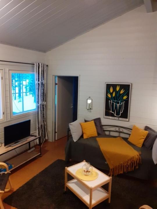 Vila Lomakylae Atimo Alakitka Exteriér fotografie