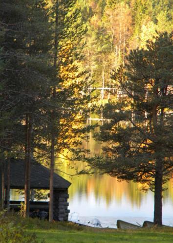 Vila Lomakylae Atimo Alakitka Exteriér fotografie